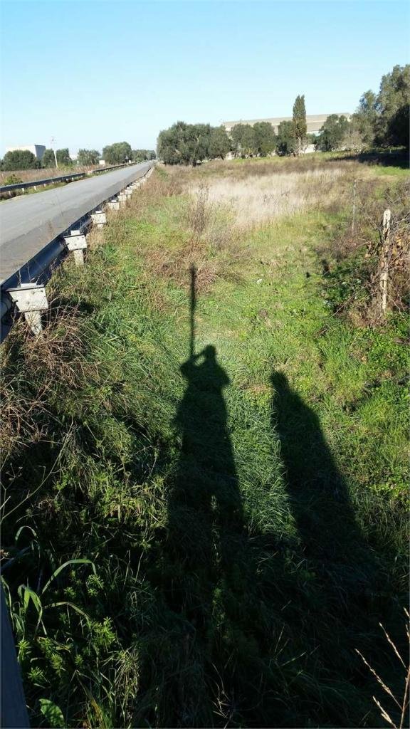 terreno agricolo in vendita a San Donaci