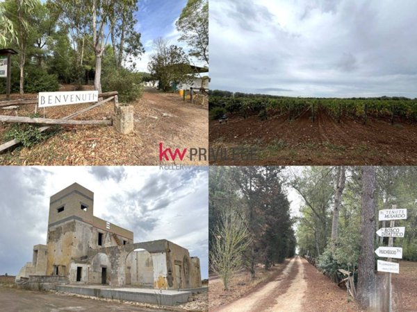 negozio in vendita a San Donaci