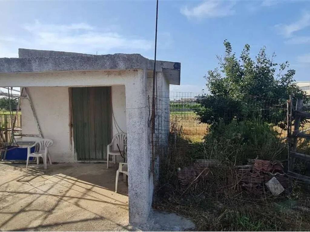 terreno agricolo in vendita a San Donaci