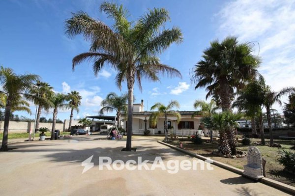 casa indipendente in vendita a San Donaci