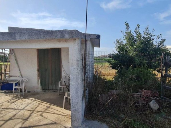 terreno agricolo in vendita a San Donaci
