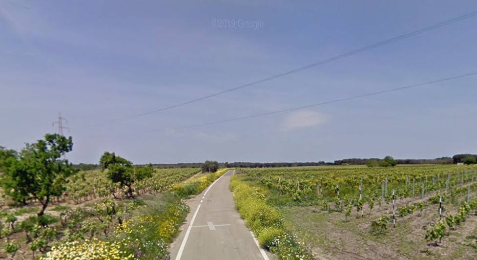 terreno agricolo in vendita a San Donaci