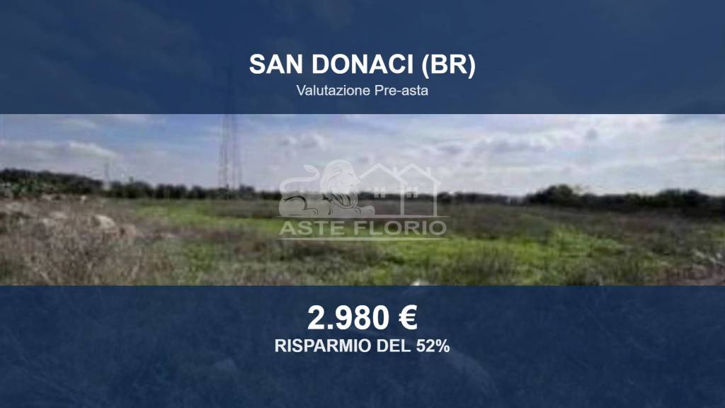terreno agricolo in vendita a San Donaci