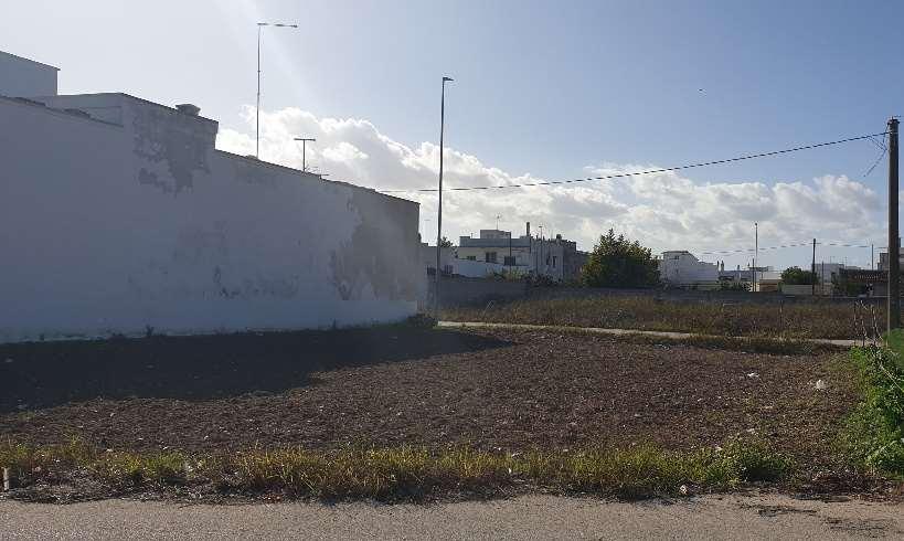terreno agricolo in vendita a San Donaci