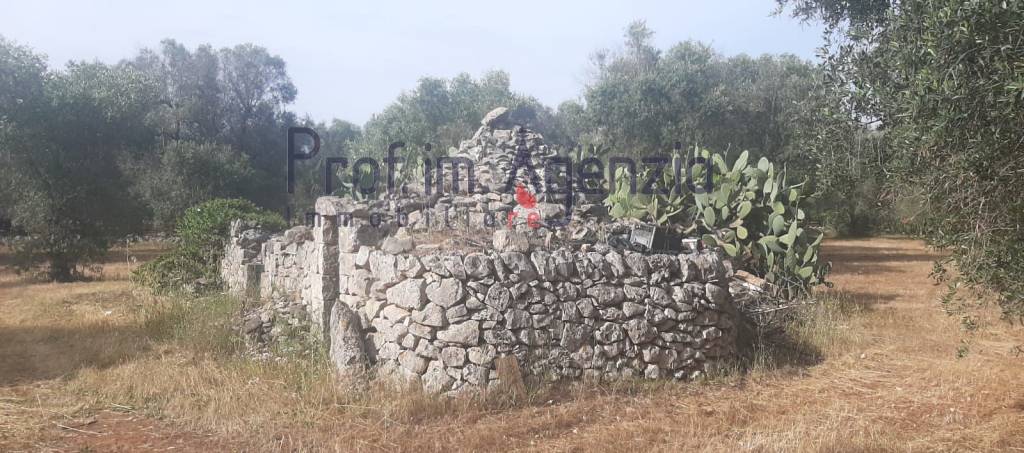 appartamento in vendita a San Michele Salentino