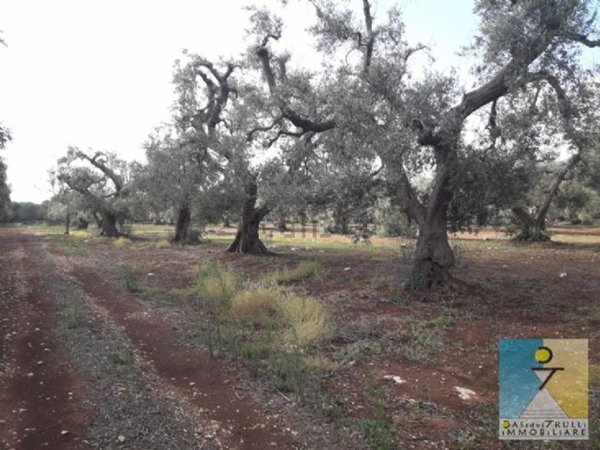 casale in vendita a San Michele Salentino