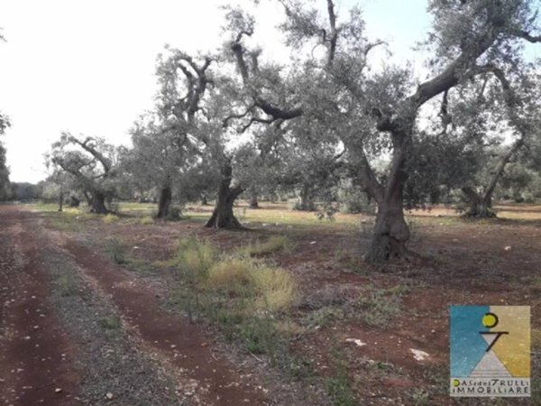 casale in vendita a San Michele Salentino