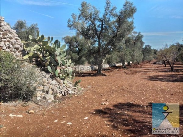 casale in vendita a San Michele Salentino