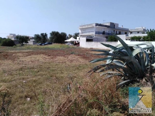 terreno agricolo in vendita a San Michele Salentino