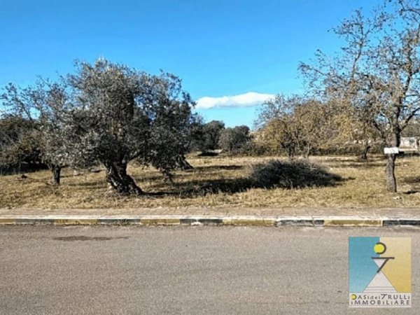 terreno agricolo in vendita a San Michele Salentino