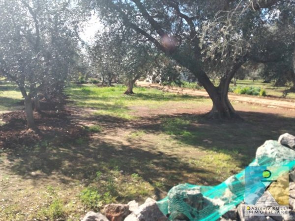 terreno agricolo in vendita a San Michele Salentino