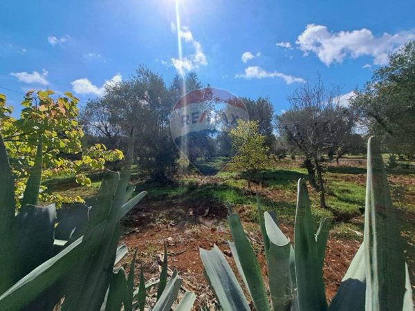 casa indipendente in vendita a San Michele Salentino