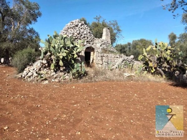 terreno agricolo in vendita a San Michele Salentino