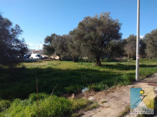 terreno agricolo in vendita a San Michele Salentino