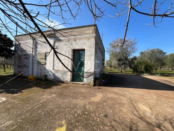 casa indipendente in vendita a San Michele Salentino