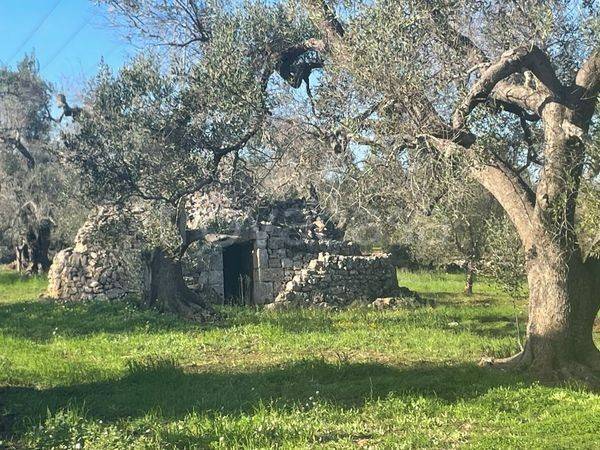 casa indipendente in vendita a San Michele Salentino