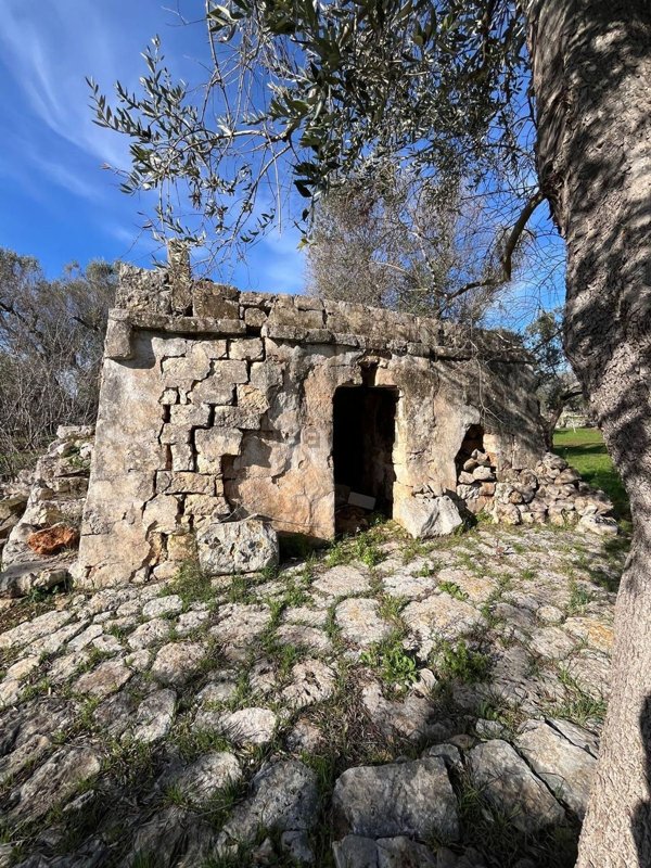 appartamento in vendita a San Michele Salentino