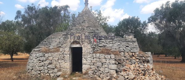 appartamento in vendita a San Michele Salentino