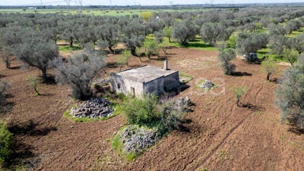 rudere in vendita a San Michele Salentino