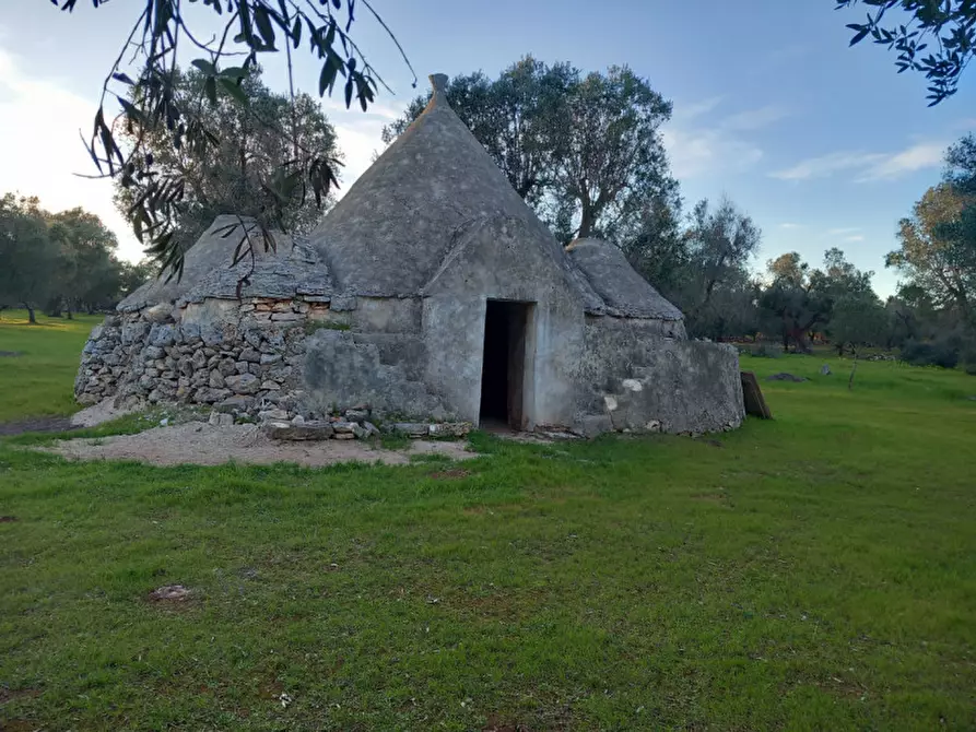 casa indipendente in vendita a San Michele Salentino