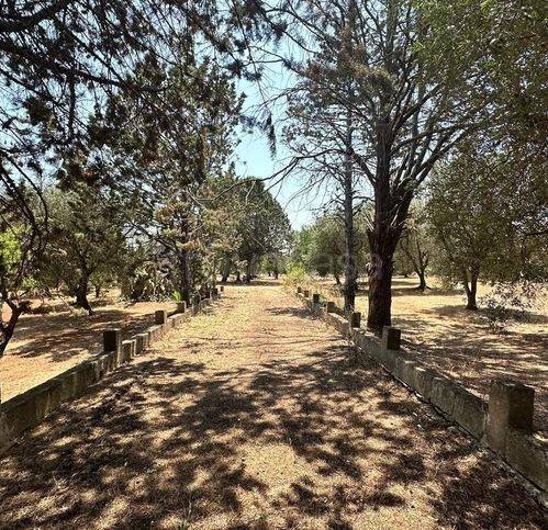 terreno agricolo in vendita a San Michele Salentino