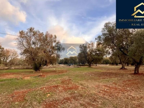 terreno agricolo in vendita a San Michele Salentino