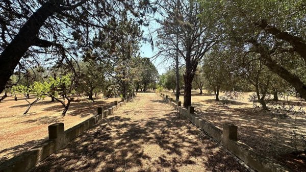 terreno edificabile in vendita a San Michele Salentino