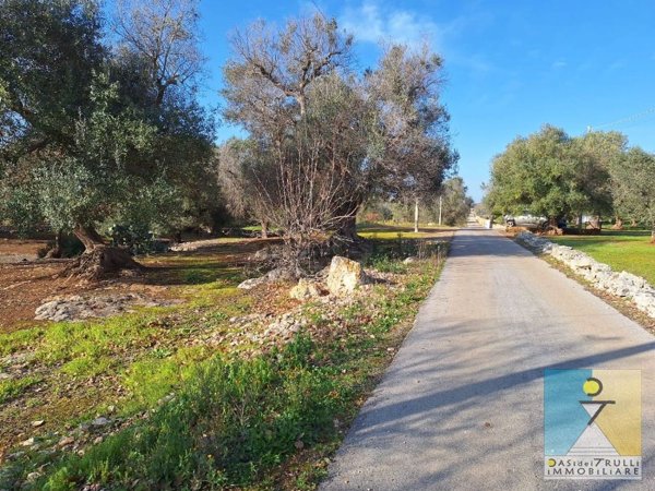 terreno edificabile in vendita a San Michele Salentino