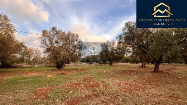 casa indipendente in vendita a San Michele Salentino