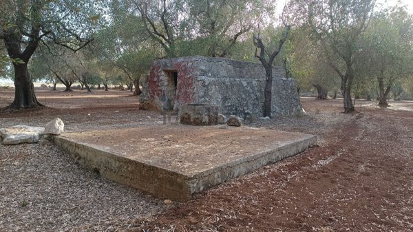terreno edificabile in vendita a San Michele Salentino
