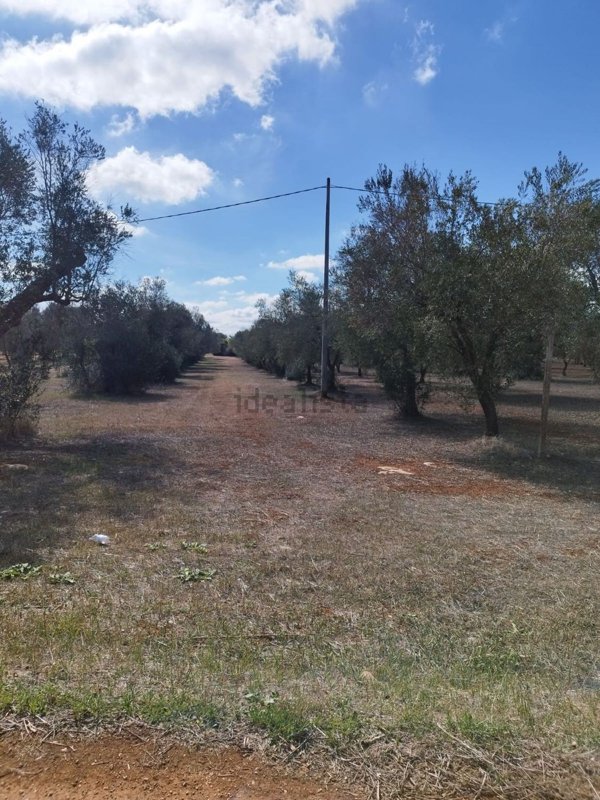 appartamento in vendita a San Michele Salentino