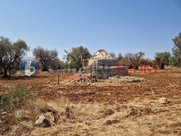 casa indipendente in vendita a San Michele Salentino