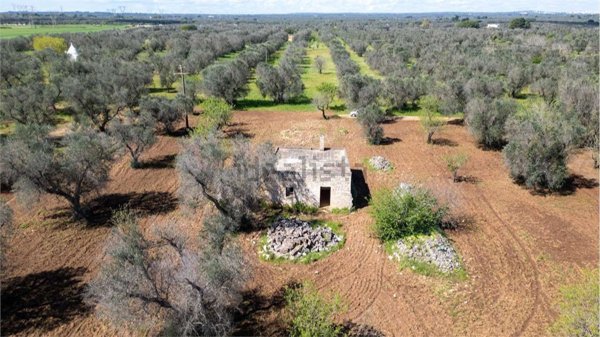 appartamento in vendita a San Michele Salentino