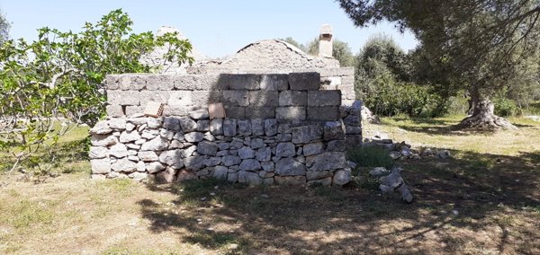 appartamento in vendita a San Michele Salentino