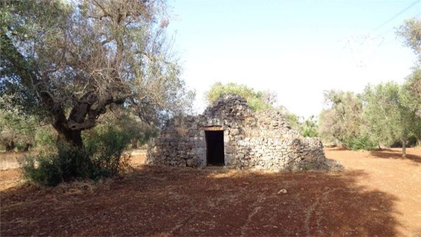 appartamento in vendita a San Michele Salentino