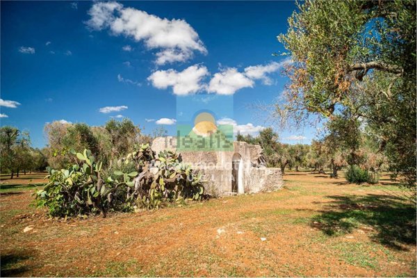 appartamento in vendita a San Michele Salentino