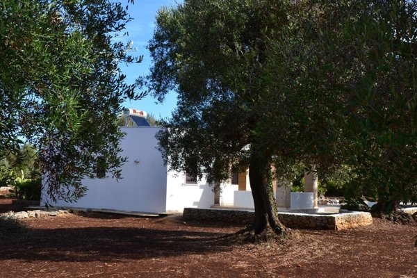 casa indipendente in vendita a San Michele Salentino