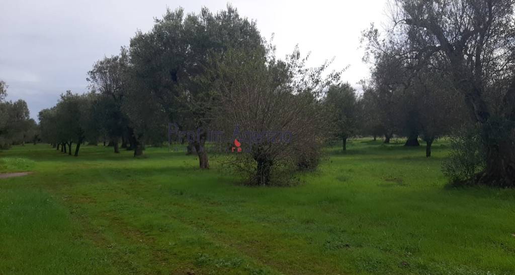 casa indipendente in vendita a San Michele Salentino