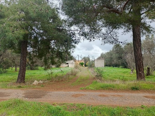 pentavano in vendita a San Michele Salentino