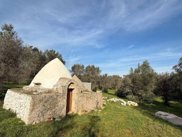 terreno agricolo in vendita a San Michele Salentino