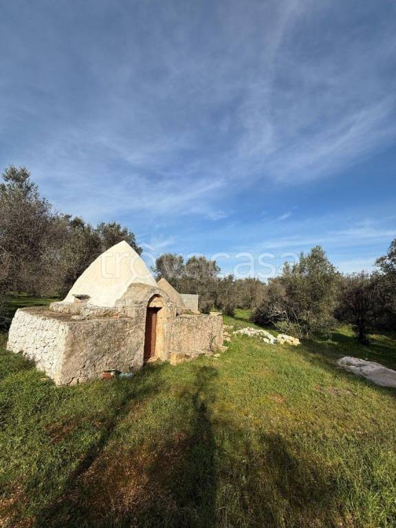 terreno agricolo in vendita a San Michele Salentino
