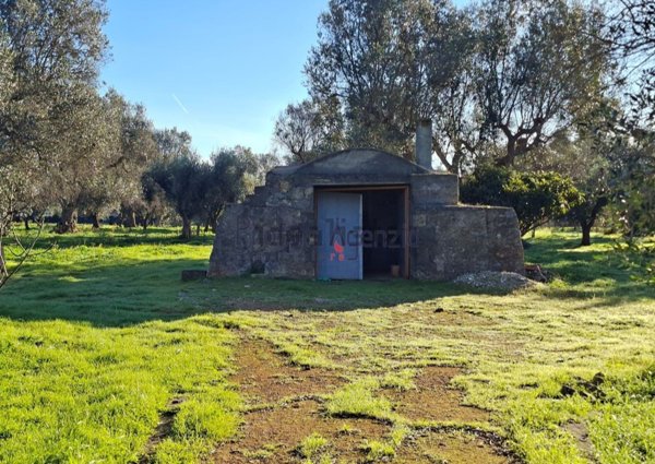 appartamento in vendita a San Michele Salentino