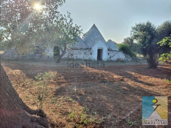 esavano in vendita a San Michele Salentino