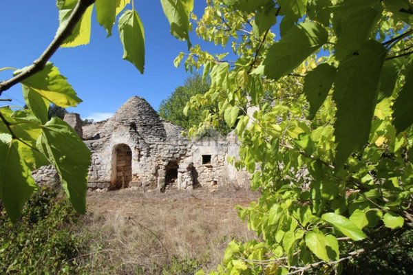 appartamento in vendita a San Michele Salentino