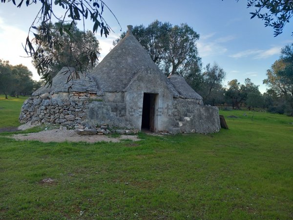 appartamento in vendita a San Michele Salentino