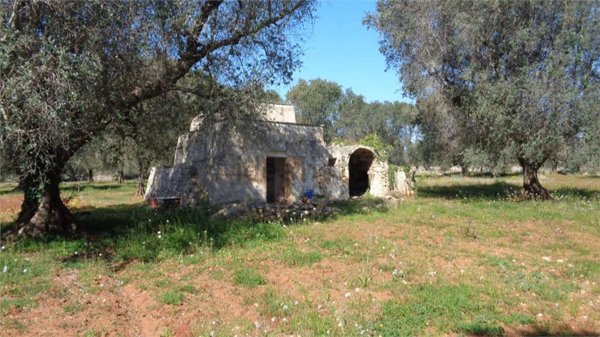 appartamento in vendita a San Michele Salentino