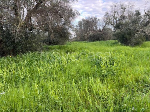 casa indipendente in vendita a San Michele Salentino