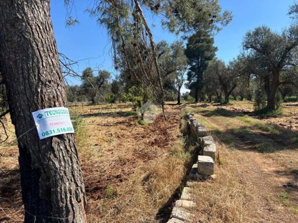 terreno agricolo in vendita a San Michele Salentino
