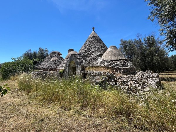 esavano in vendita a San Michele Salentino