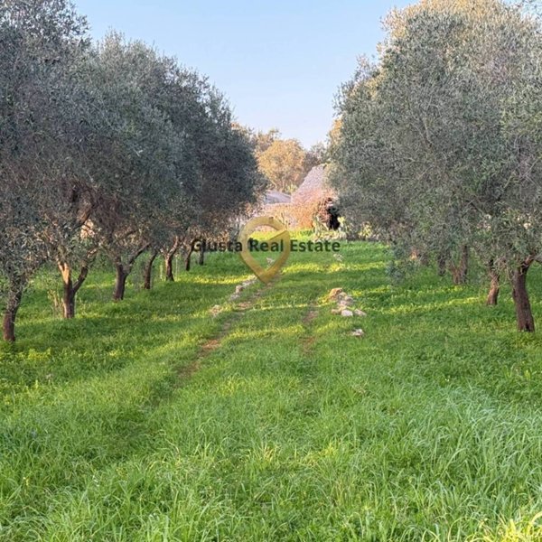 appartamento in vendita a San Michele Salentino